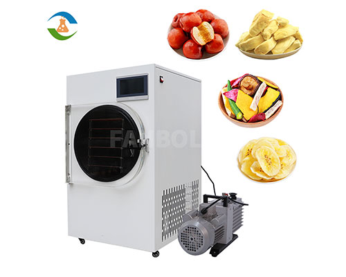 FD-10R 100Kgs Commercial Food Fruit Vegetables Freeze Dryer