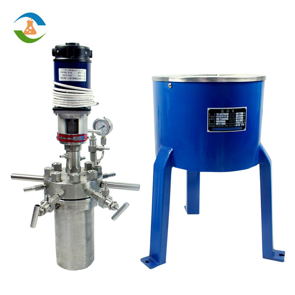 high pressure stainless steel reactor